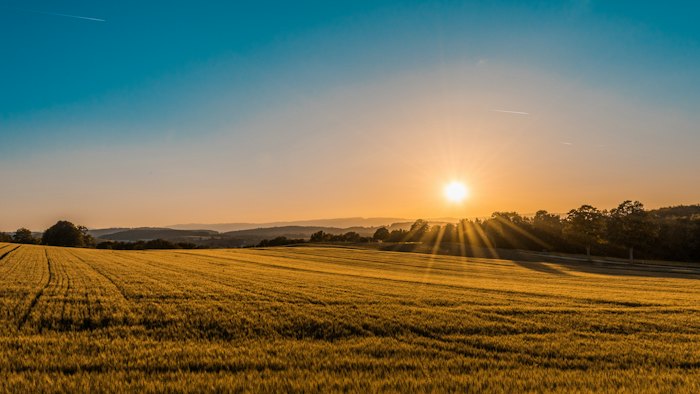 Lavoura ao pôr do sol